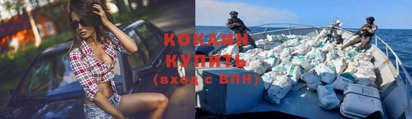 шишки Арсеньев