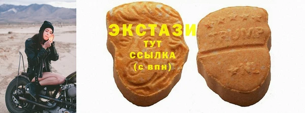 шишки Арсеньев