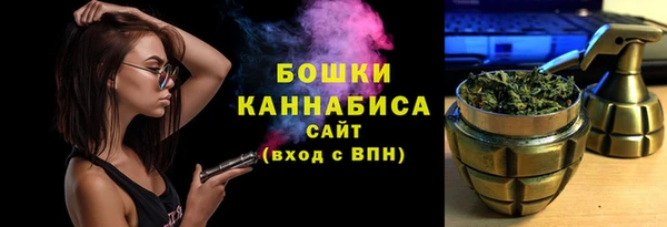 шишки Арсеньев