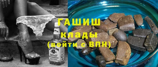 шишки Арсеньев
