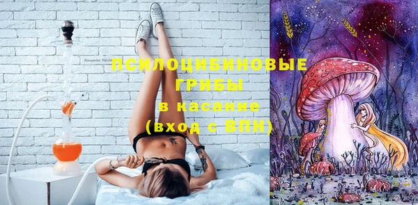 шишки Арсеньев