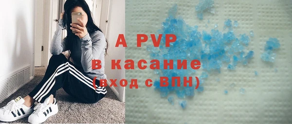 шишки Арсеньев