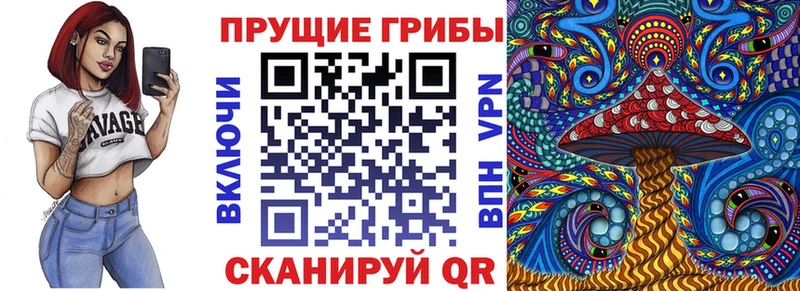 закладки  Белогорск  Псилоцибиновые грибы Psilocybine cubensis 