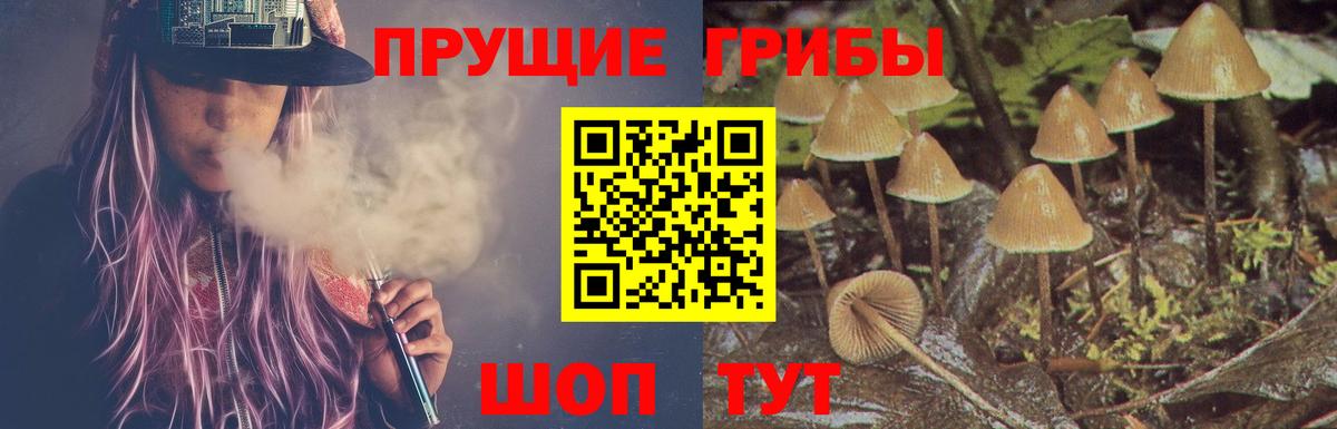где найти   Вход с VPN  Белогорск  Псилоцибиновые грибы ЛСД 